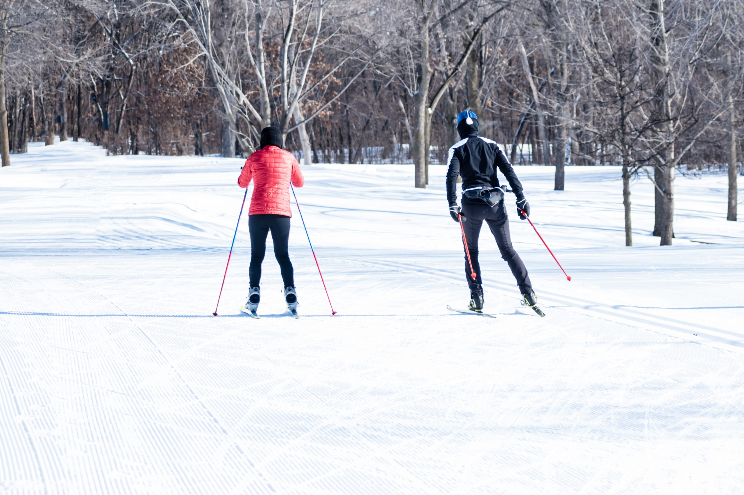 People are having fun in cross-country skiing